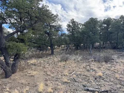2926 E Path, Cotopaxi, CO 81223 photo 45