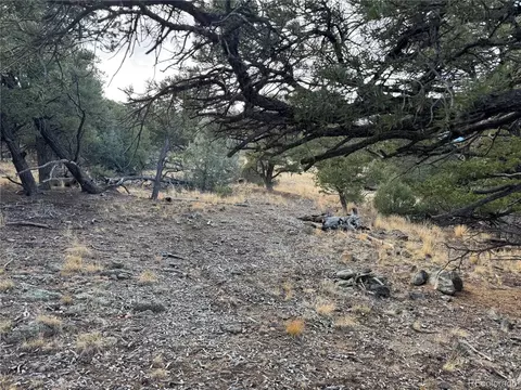 2926 E Path, Cotopaxi, CO 81223 photo 42