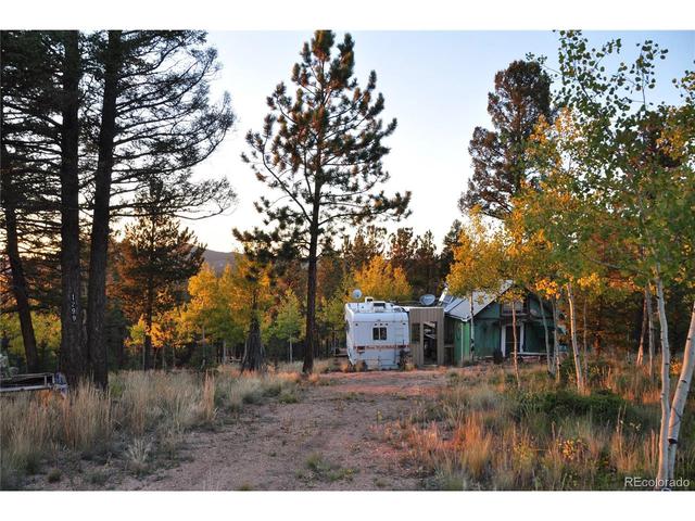 1299 Rangeview Rd, Divide, CO 80814