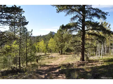 1299 Rangeview Rd, Divide, CO 80814 photo 16