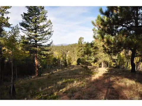 1299 Rangeview Rd, Divide, CO 80814 photo 20