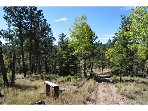 1299 Rangeview Rd, Divide, CO 80814 photo 15