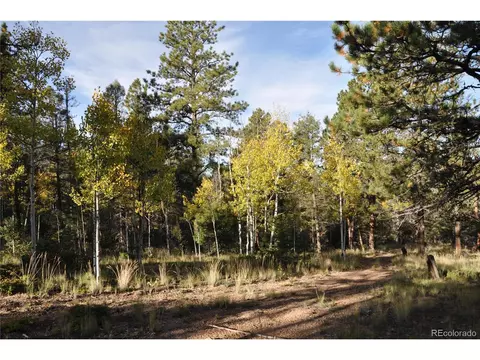 1299 Rangeview Rd, Divide, CO 80814 photo 19