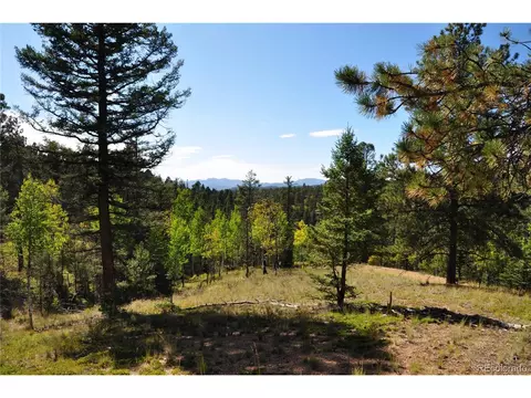 1299 Rangeview Rd, Divide, CO 80814 photo 17