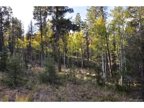 1299 Rangeview Rd, Divide, CO 80814 photo 21