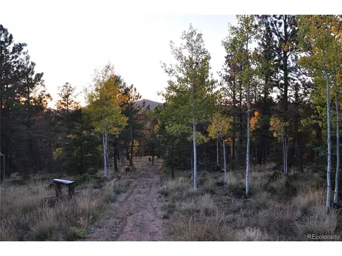 1299 Rangeview Rd, Divide, CO 80814 photo 4
