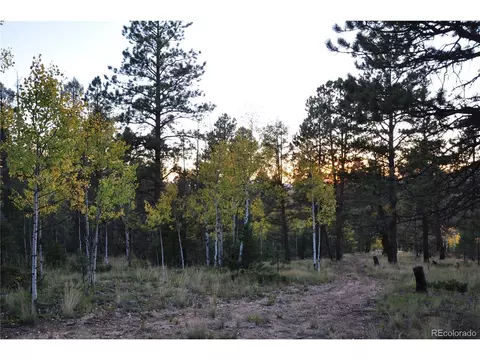 1299 Rangeview Rd, Divide, CO 80814 photo 5