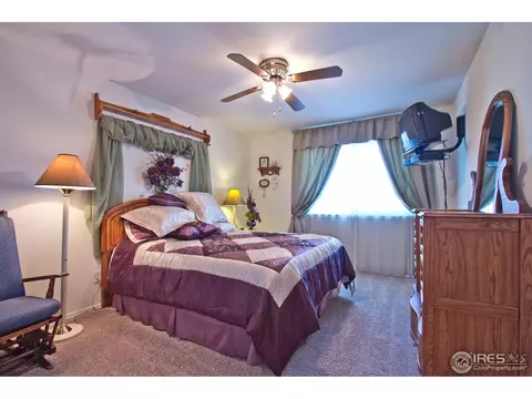 4392 Firehawk Ct, Windsor, CO 80550 photo 18