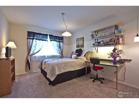 4392 Firehawk Ct, Windsor, CO 80550 photo 20