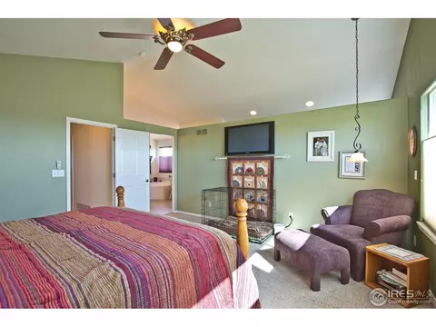 4392 Firehawk Ct, Windsor, CO 80550 photo 15