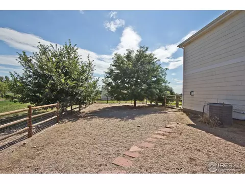 4392 Firehawk Ct, Windsor, CO 80550 photo 24