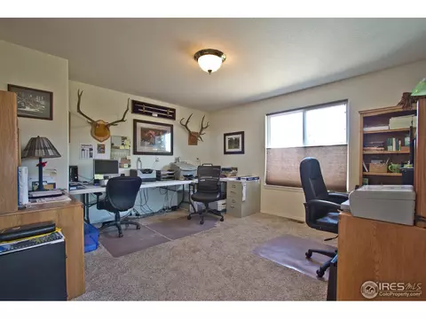 4392 Firehawk Ct, Windsor, CO 80550 photo 12