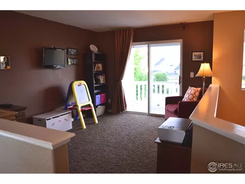 5370 Highland Meadows Ct, Windsor, CO 80528 photo 13