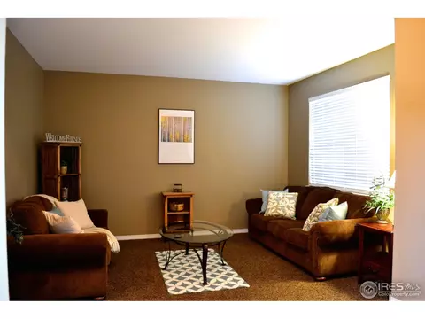 5370 Highland Meadows Ct, Windsor, CO 80528 photo 5