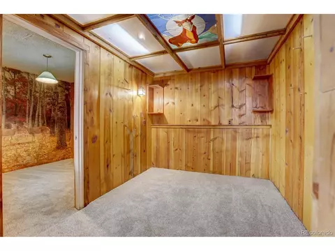 151 Sunlight Ln, Bailey, CO 80421 photo 30