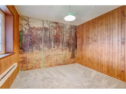 151 Sunlight Ln, Bailey, CO 80421 photo 31