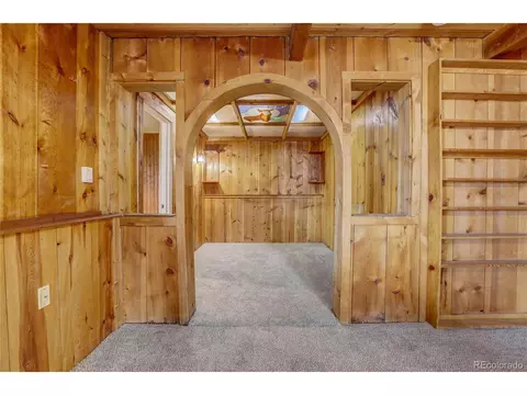 151 Sunlight Ln, Bailey, CO 80421 photo 29