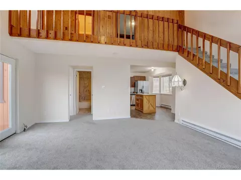 151 Sunlight Ln, Bailey, CO 80421 photo 14
