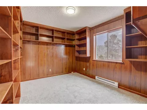 151 Sunlight Ln, Bailey, CO 80421 photo 23