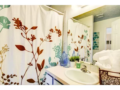 3595 Silver Plume Ct, Boulder, CO 80305 photo 24