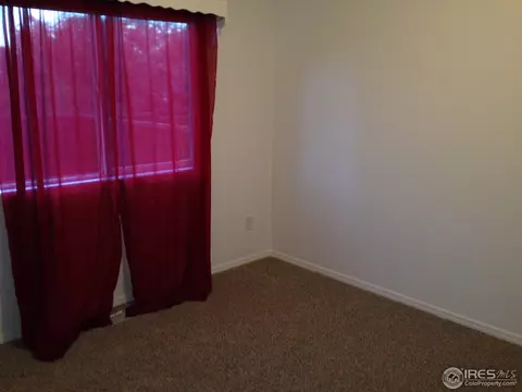 541 Springwood Ct, Windsor, CO 80550 photo 6