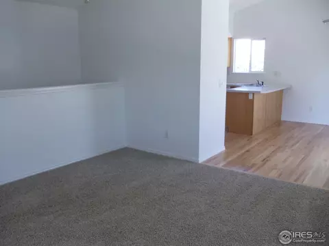 541 Springwood Ct, Windsor, CO 80550 photo 11