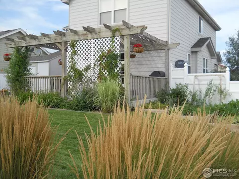 3221 Grenache St, Greeley, CO 80634 photo 6