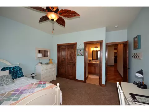 7291 Caledonian Ct, Windsor, CO 80550 photo 11