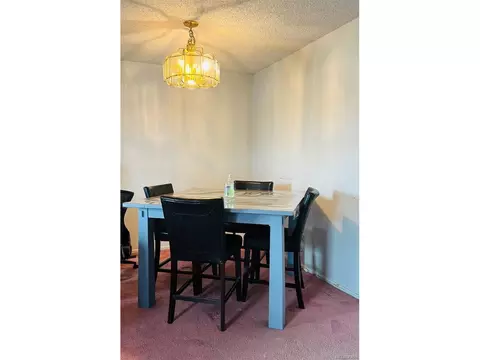 2859 E 99th Way, Thornton, CO 80229 photo 3