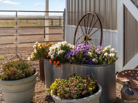 3545 Matt Dillon Rd, Elbert, CO 80106 photo 7