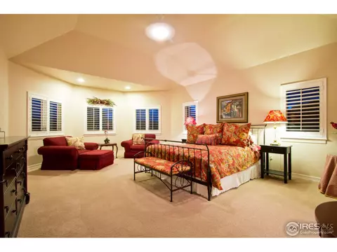 1325 Paramount Dr, Berthoud, CO 80513 photo 17
