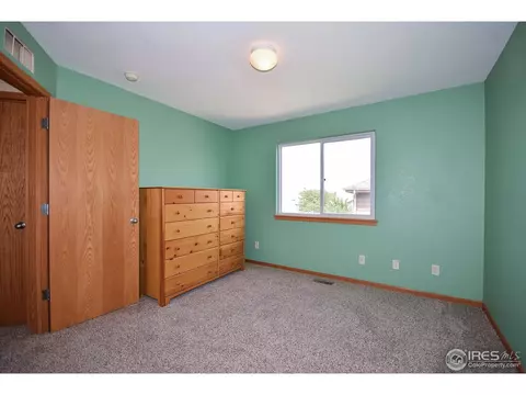 389 Sorrel Dr, Windsor, CO 80550 photo 14