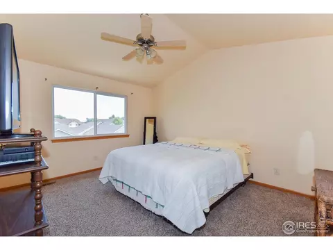 389 Sorrel Dr, Windsor, CO 80550 photo 16
