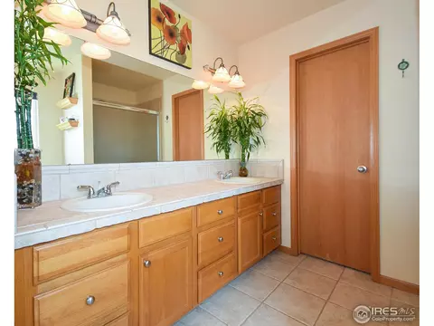389 Sorrel Dr, Windsor, CO 80550 photo 19