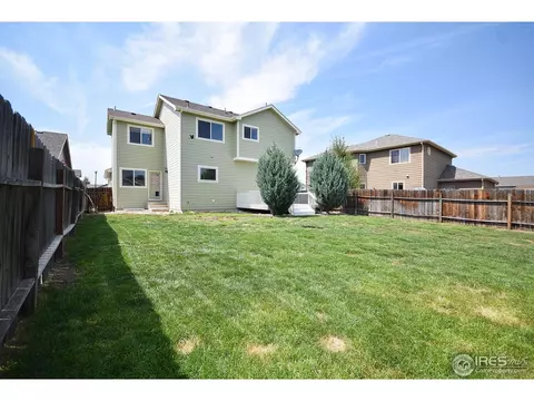 389 Sorrel Dr, Windsor, CO 80550 photo 20