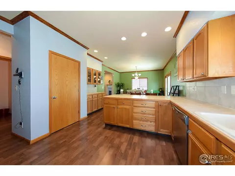 389 Sorrel Dr, Windsor, CO 80550 photo 6