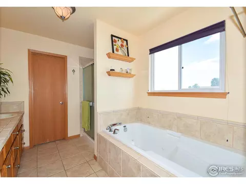389 Sorrel Dr, Windsor, CO 80550 photo 18