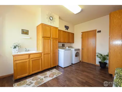 389 Sorrel Dr, Windsor, CO 80550 photo 9
