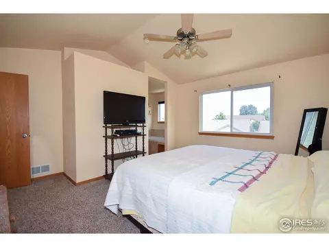 389 Sorrel Dr, Windsor, CO 80550 photo 17