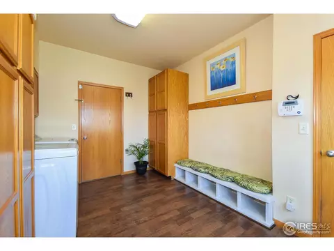 389 Sorrel Dr, Windsor, CO 80550 photo 10