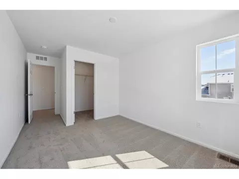 6093 Amerifax Dr, Windsor, CO 80528 photo 18