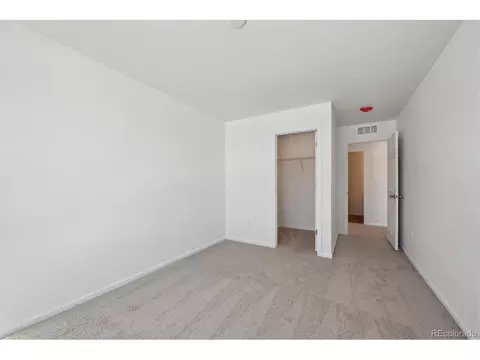 6093 Amerifax Dr, Windsor, CO 80528 photo 15