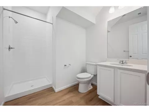 6093 Amerifax Dr, Windsor, CO 80528 photo 4