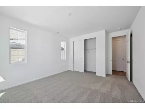 6093 Amerifax Dr, Windsor, CO 80528 photo 3