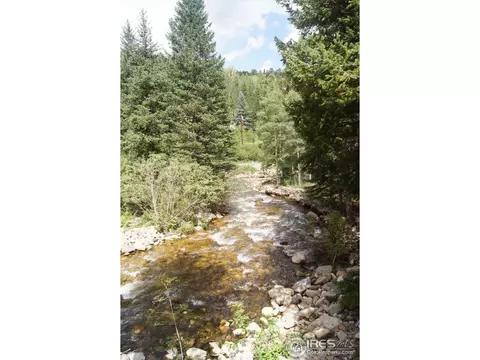 3131 Riverside Dr, Lyons, CO 80540 photo 23