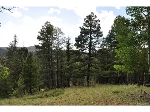 266 Mariposa Dr, Cripple Creek, CO 80813