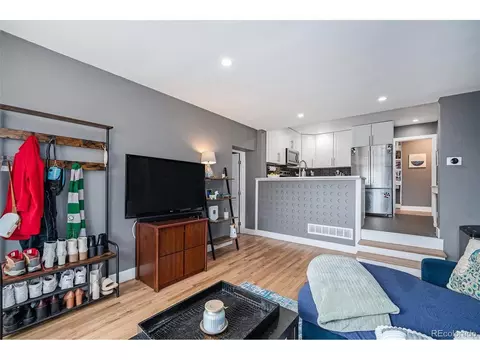 Living - 4827 Meade St, Denver, CO 80221 photo 3 of 4