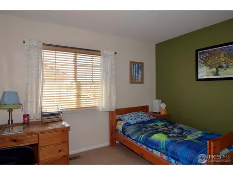 11780 Zenobia Loop, Westminster, CO 80031 photo 11