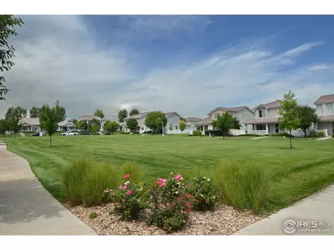 11780 Zenobia Loop, Westminster, CO 80031 photo 23