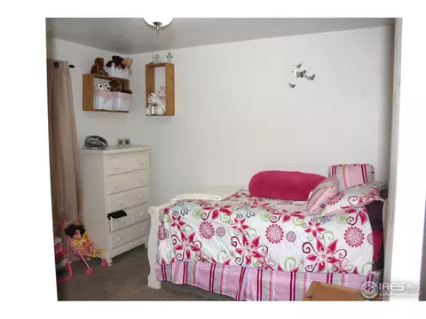 1114 Valley Dr, Windsor, CO 80550 photo 5